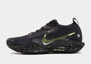 Nike Pegasus Trail 5 GORE-TEX