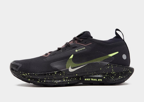 Nike Pegasus Trail 5 GORE-TEX