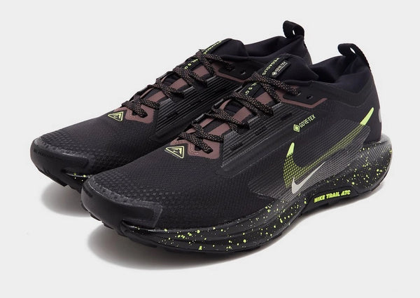 Nike Pegasus Trail 5 GORE-TEX