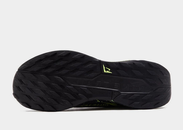 Nike Pegasus Trail 5 GORE-TEX