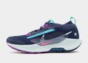 Nike Pegasus Trail 5 GORE-TEX