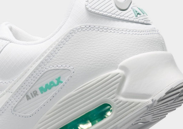 Nike Air Max 90 Women's