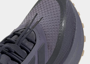 Adidas Ultraboost Shoes